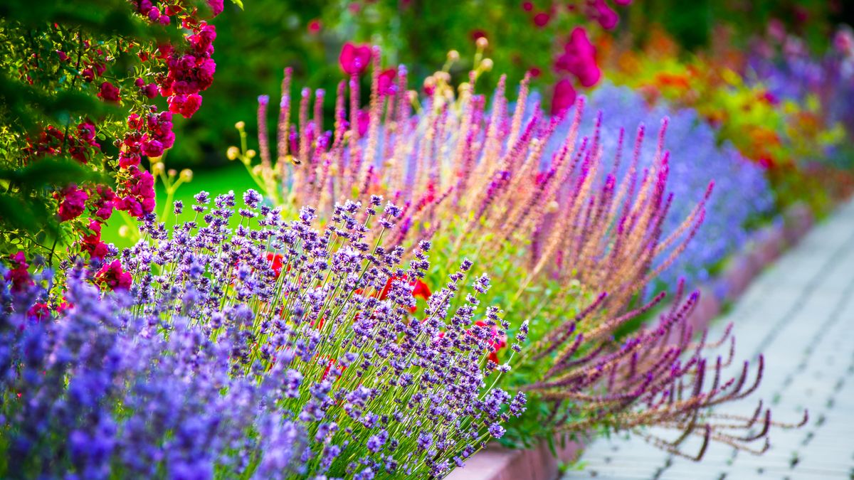 4 Steps to a Garden That Almost Takes Care of Itself if You Want More Flowers for Less Work