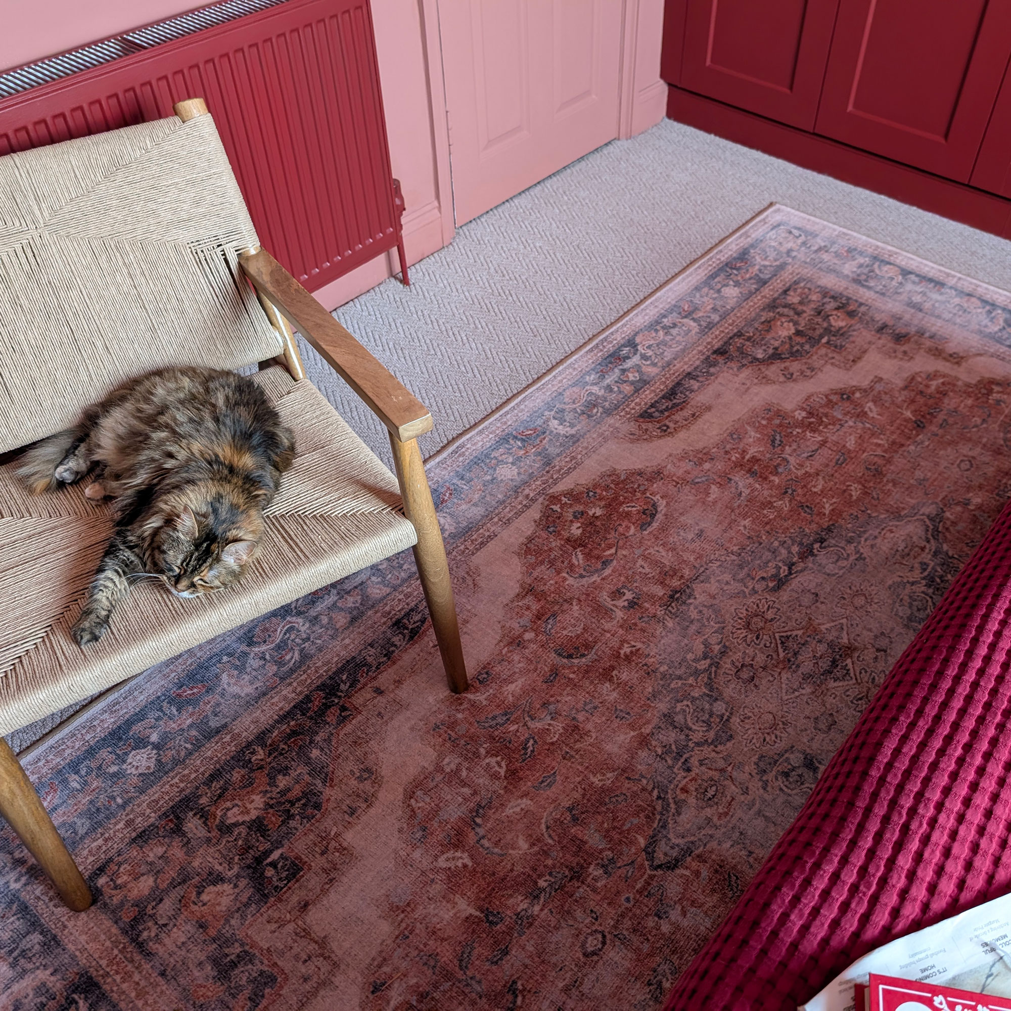 Pink toned vintage style rug on neutral carpet