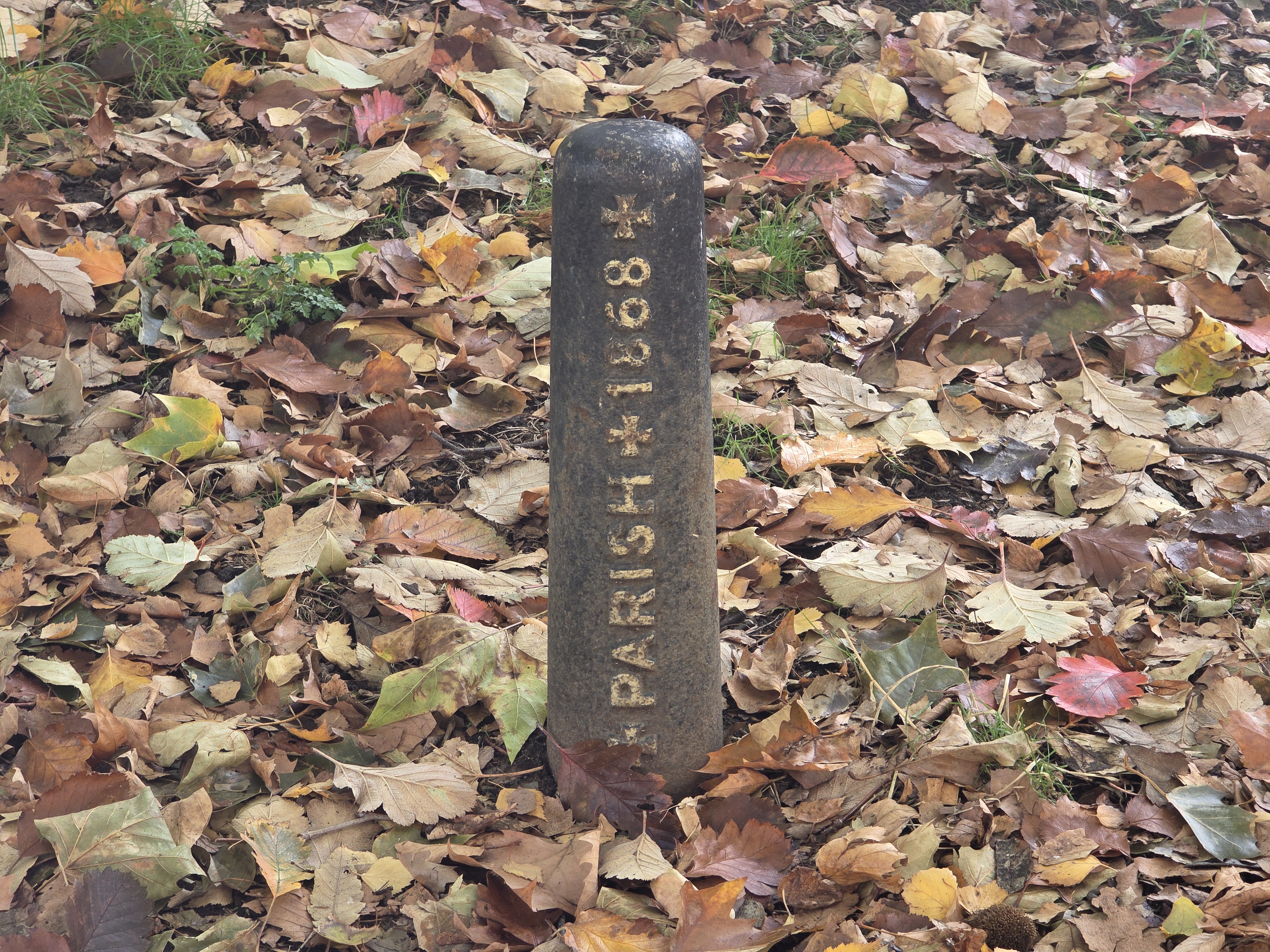 Samsung Galaxy S25 Ultra parish marker 3x