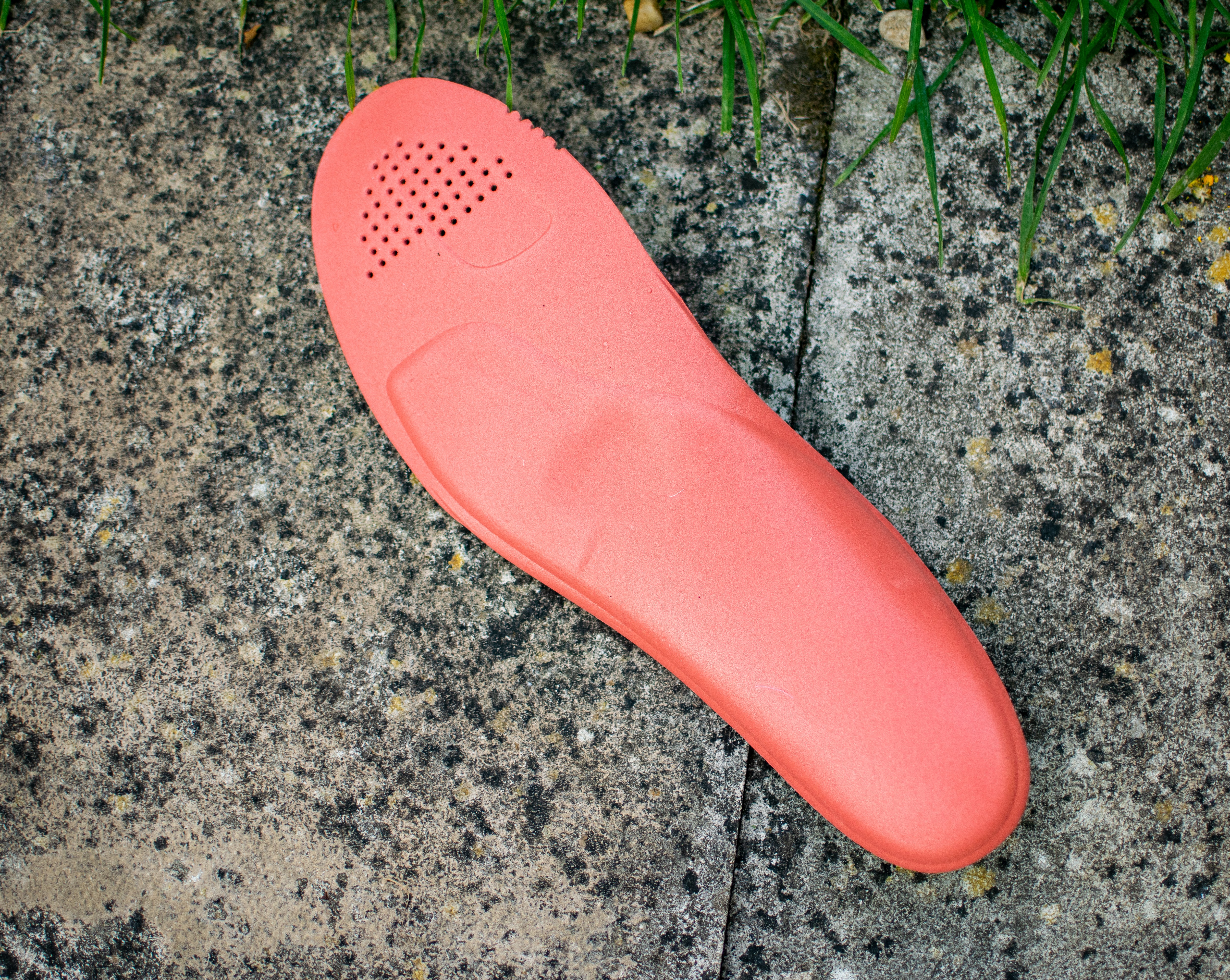 A Q36.5 Solestar insole