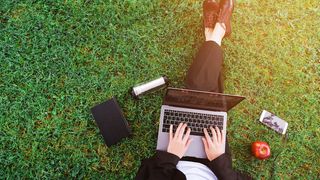 Man works on a laptop on some grass