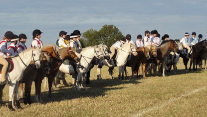 mounted-games-champs-long-shot-cropped1.jpg