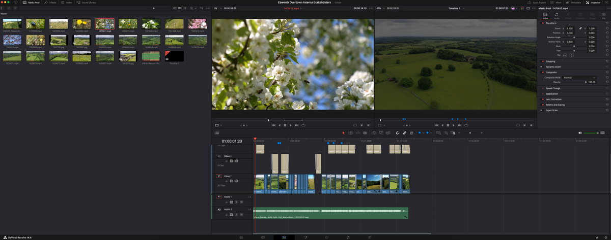 A screenshot from DaVinci Resolve 19