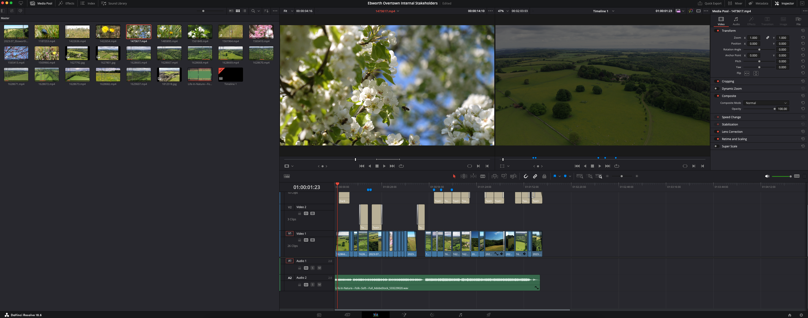 A screenshot from DaVinci Resolve 19