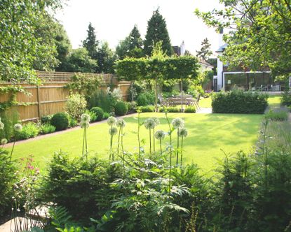 a green and thick lawn surrounded by planting