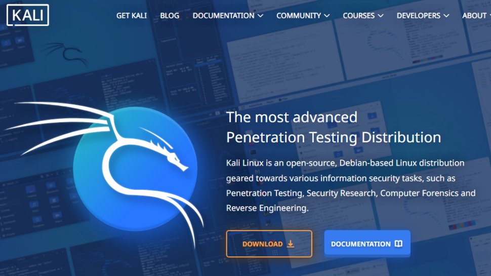 Website screenshot of Kali Linux (July, 2025)