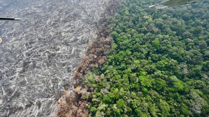 An aerial view of the deforested Amazon following an illegal fire in August 2024.