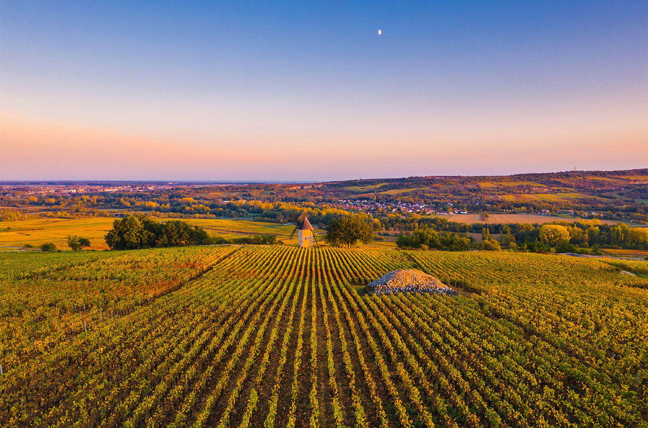 Burgundy 2018 report