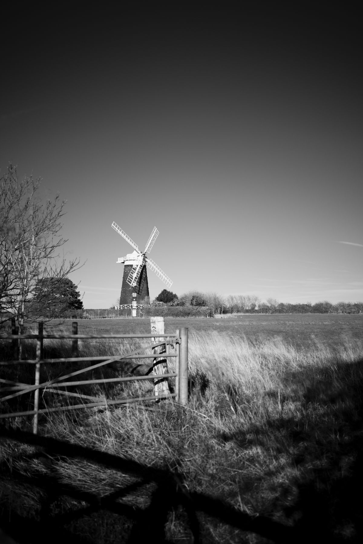 Urth Filter Plus+ Infrared Test Shot Windmill
