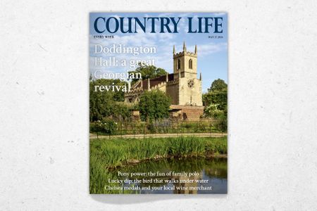 The cover of Country Life May 27, 2026, featuring St Peter&rsquo;s Church as seen from the kitchen garden at Doddington Hall, Lincolnshire. Photo by Paul Highnam for Country Life.