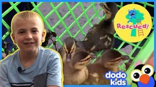 Rescued Dodo Kids