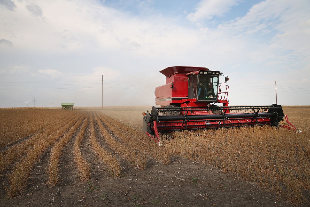 The soybean harvest in Worthington, Minnesota.