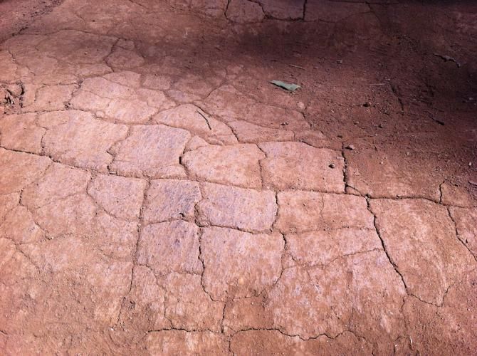 The ground is hard packed and cracking in the heat.