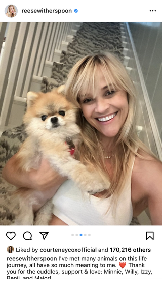 Reese Witherspoon holding her dog in frnt of her stairs
