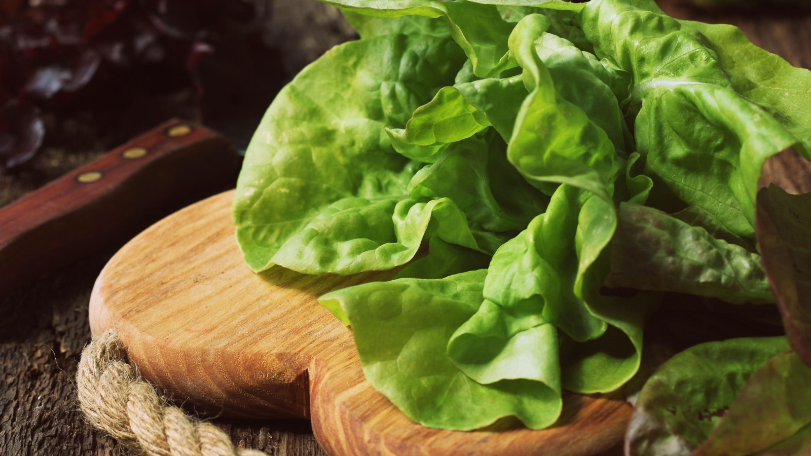 Harvested butter lettuce leaves on a wooden chopping board