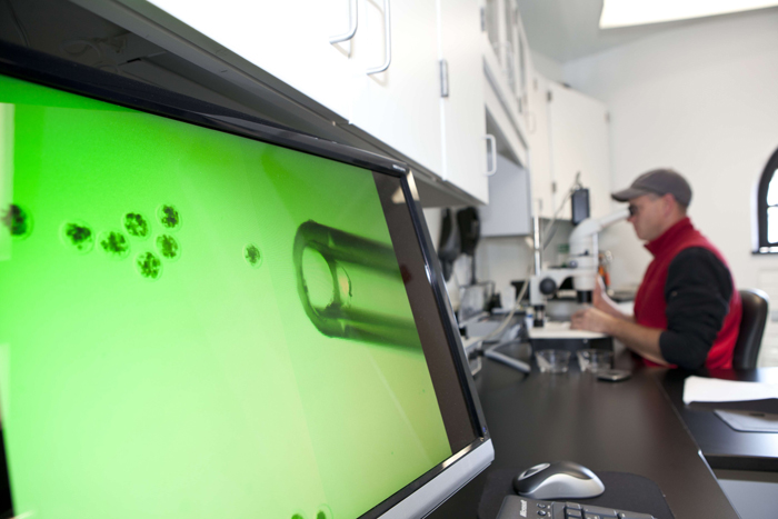 Kevin Lindell grading embryos