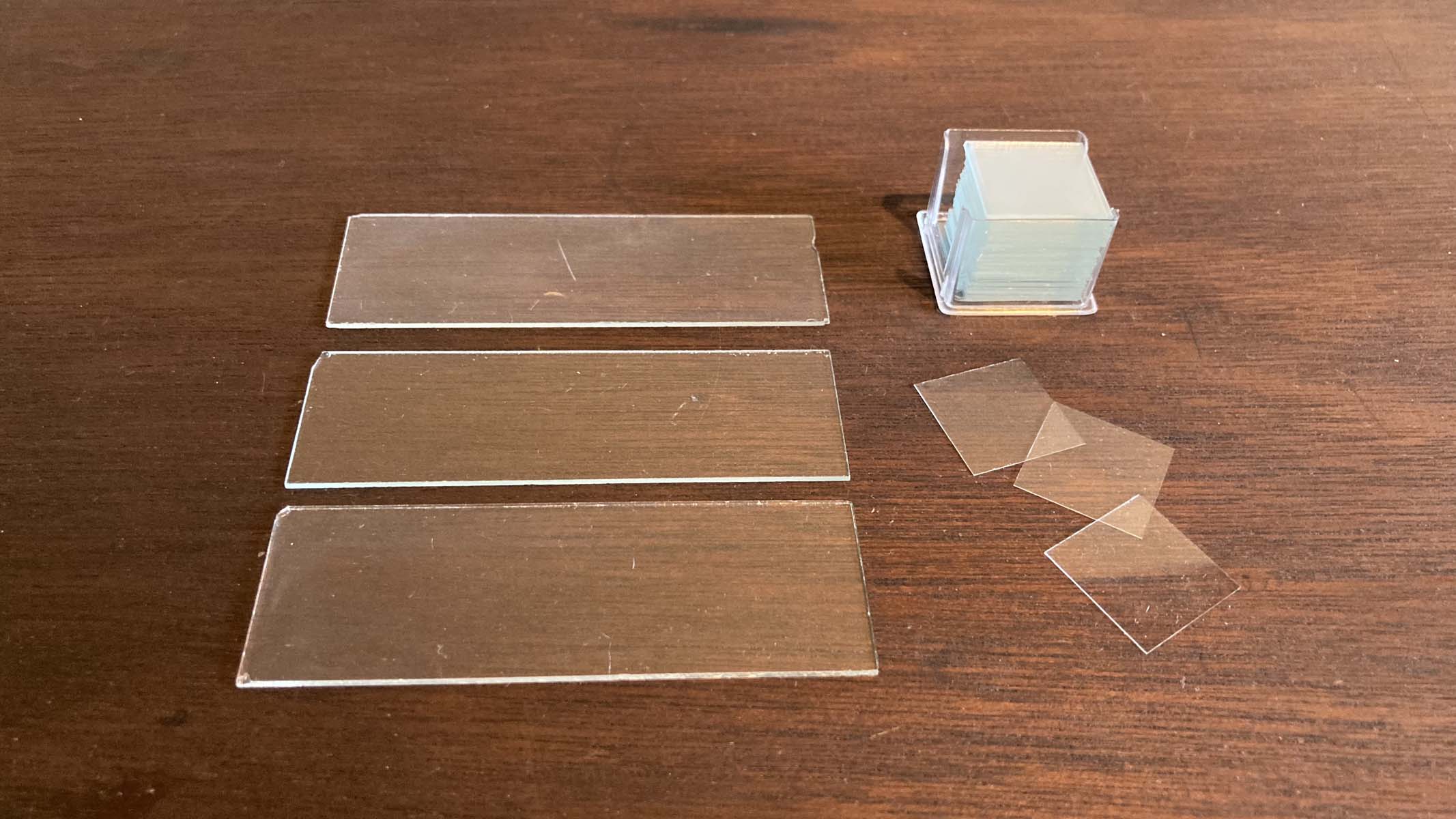 glass microscope slides on a table