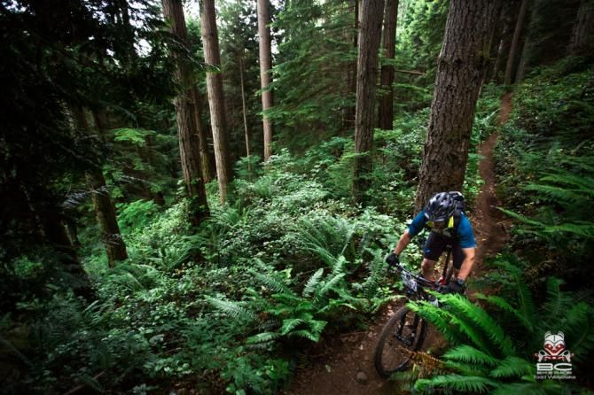 A thin brown loamy line becons tired riders onward.