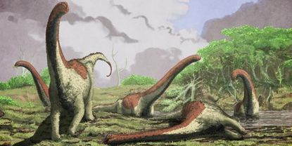 New titanosaur found inside of cliff wall in Tanzania