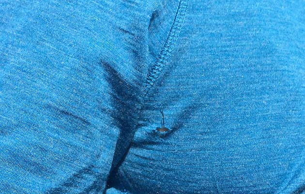 EDZ-merino-top-hole