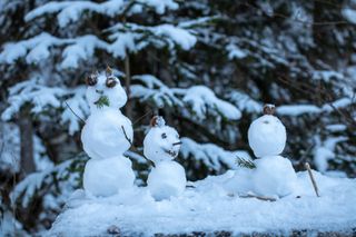 Få en fin familietid i vinter: Stor guide over ting å gjøre sammen med barna