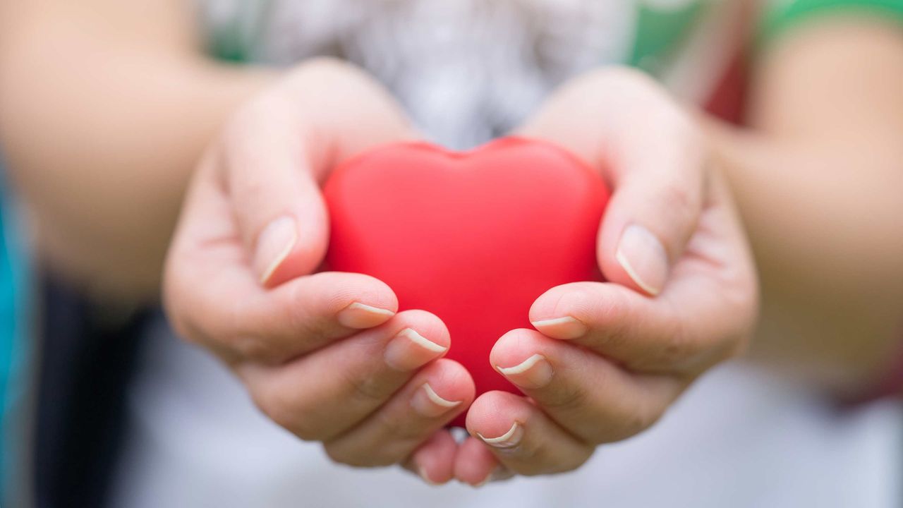 A person holds out a red heart. 