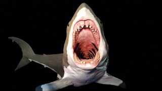 A computer-generated image of a megalodon with its mouth open.