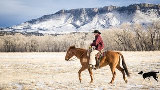 American quarter horse riding out on snowy day