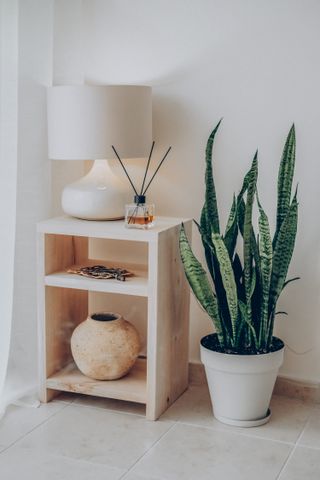 Minimalist interior design with wooden shelf, lamp, and snake plant for tranquil living space