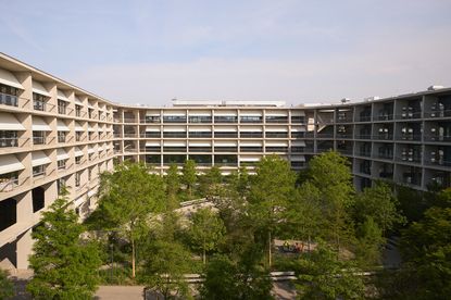 internal courtyard at SIP Main Campus by Herzog and de Meuron