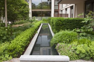 how to make a garden feel modern: water