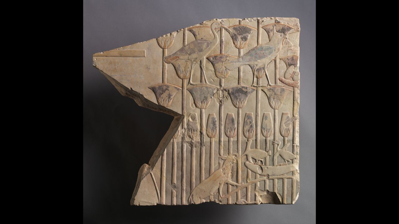 A marsh scene with a cat and birds, dating to 667-647 B.C., dating to Egypt's Late Period, Late Dynasty 25 to Early Dynasty 26