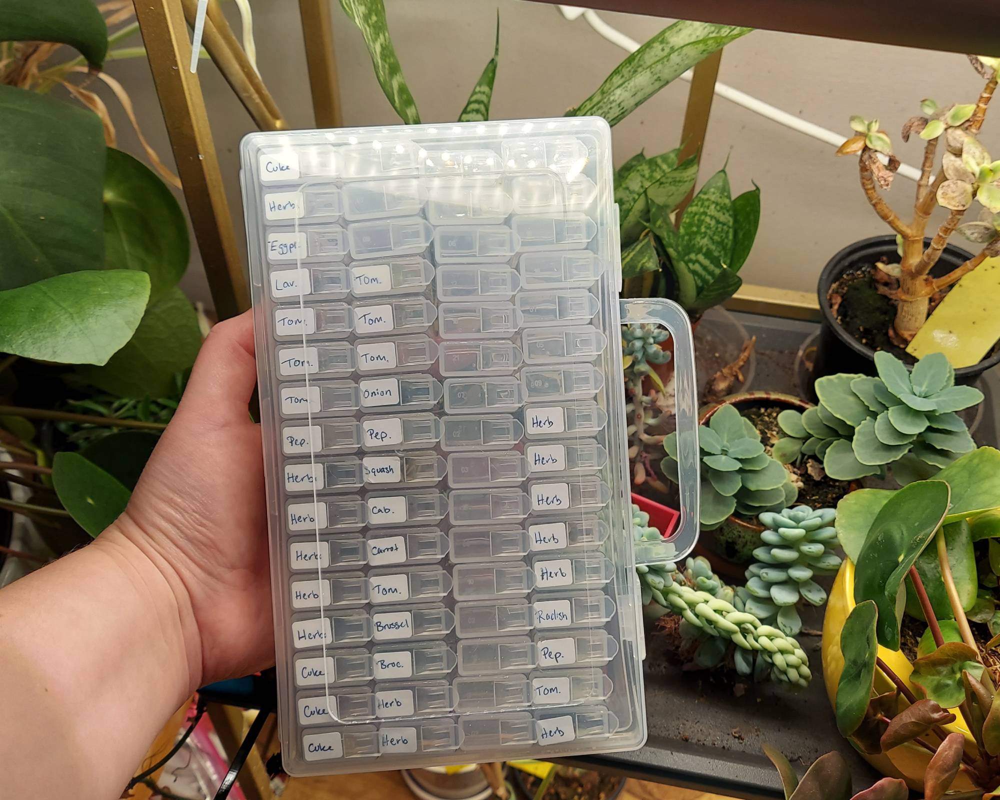 Gardener holds plastic seed storage container in front of plants