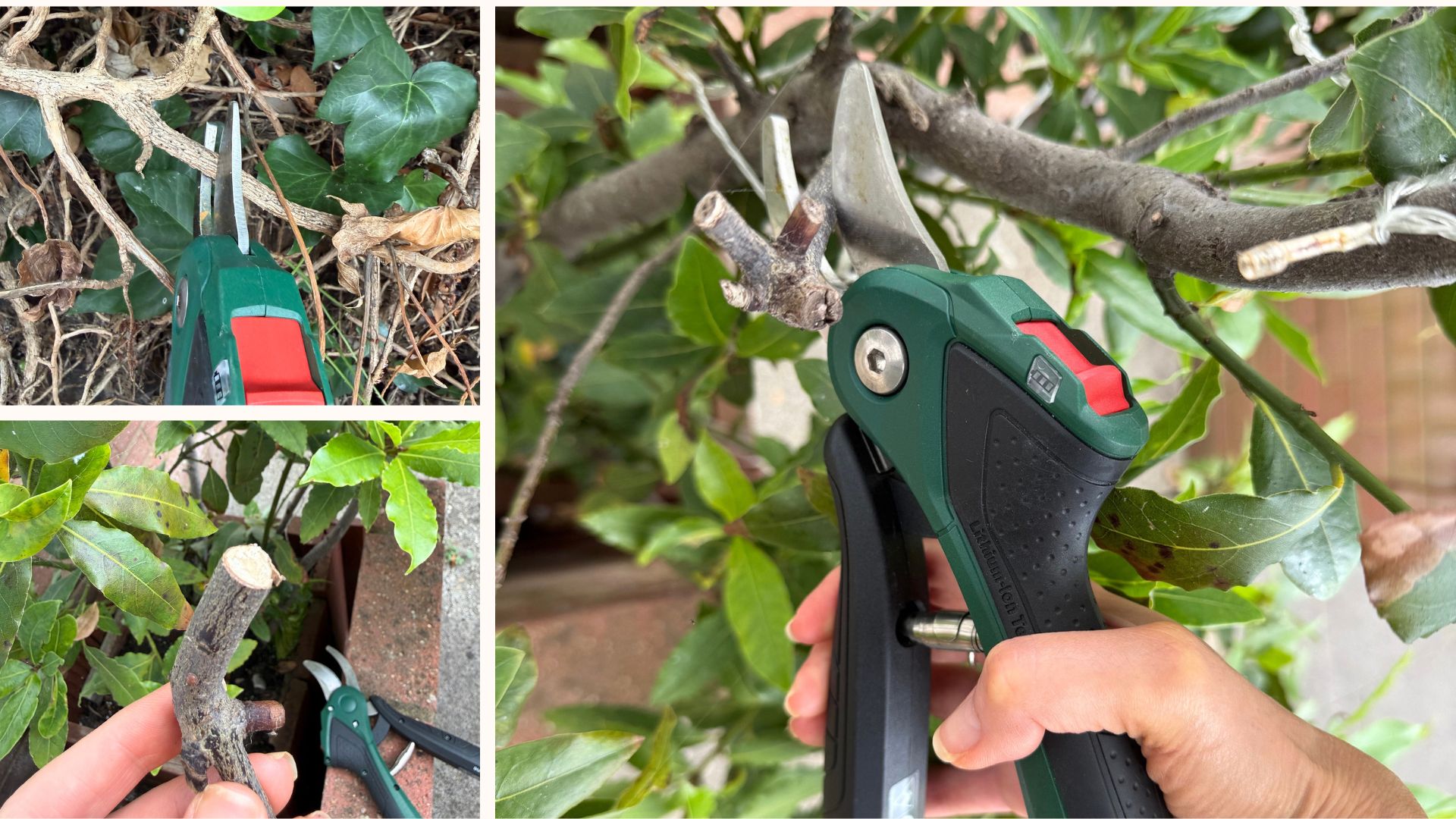 Bosch EasyPrune cordless garden secateurs