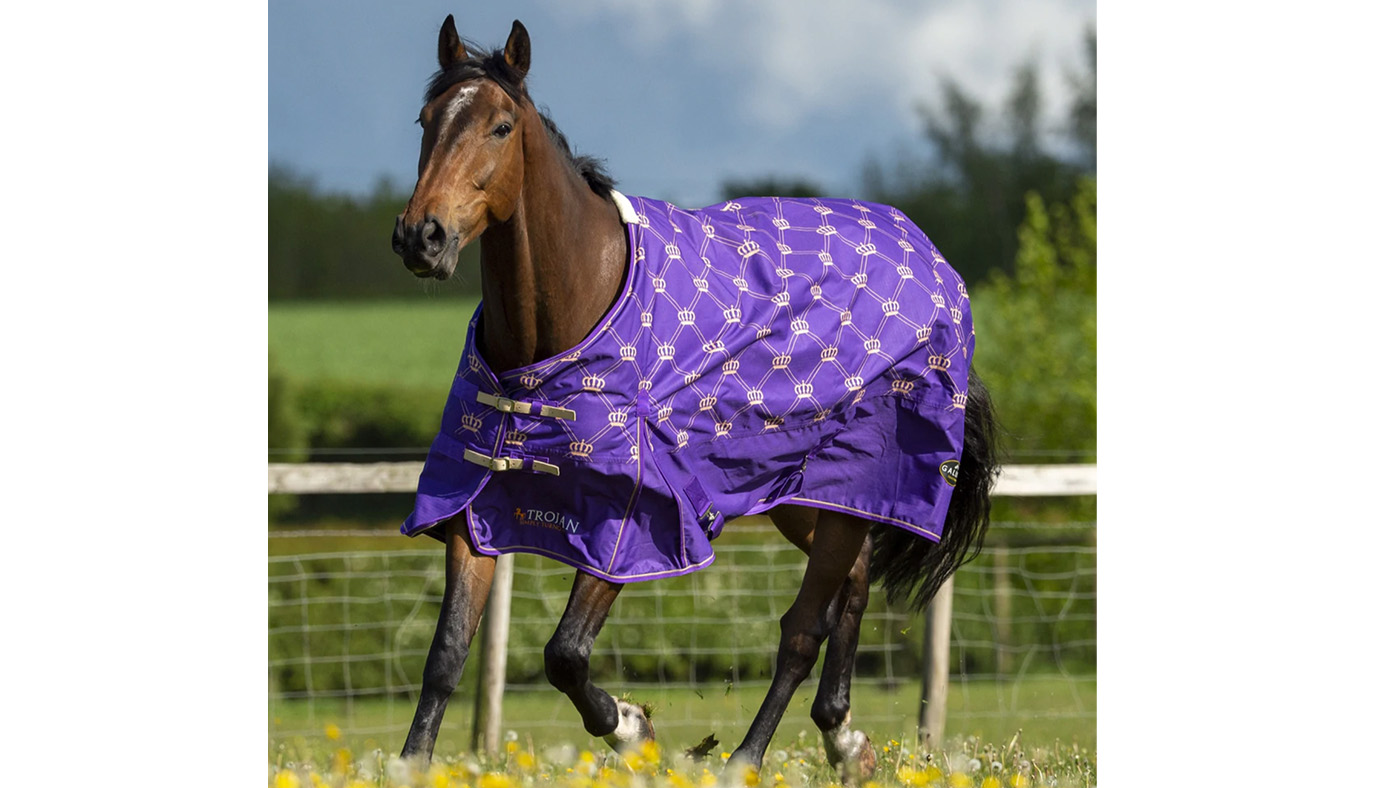 Gallop Monarch patterned horse rug