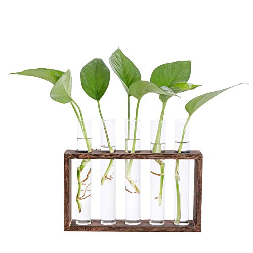 Hyindoor Desktop Glass Planter Propagation Station Wall Mounted Hanging Test Tube Vase With Wooden Stand Rack Terrarium Planter for Hydroponic Plants Cutting Office Home Decoration