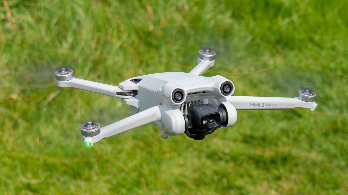 Review: the DJI Mini 2 is the perfect drone for beginners: Digital
