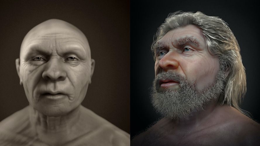 Side-by-side facial approximations of a Neanderthal. 