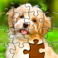 Solve beautiful jigsaw puzzles up to 840 pieces together, and even make your own with photographs.