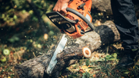 Best Chainsaws of 2020