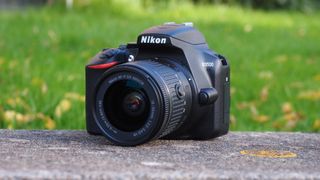 best dslrs