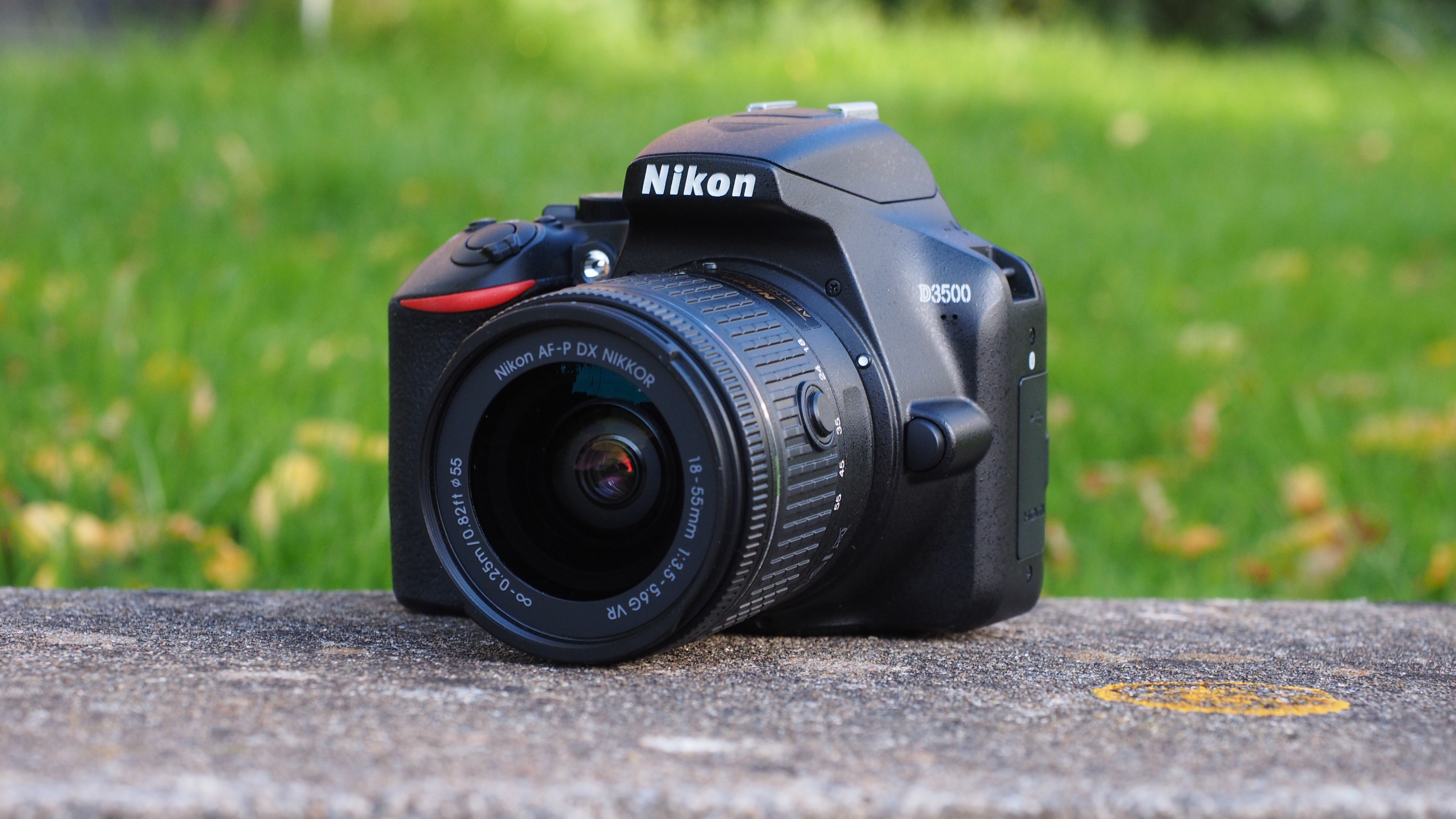Best DSLR: Nikon D3500