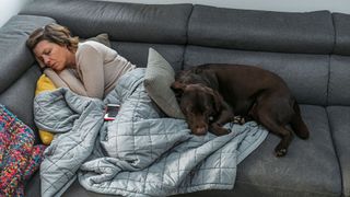 fatigued woman asleep on a gray sofa with her chocolate Labrador