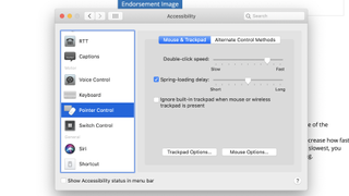 Choosing Pointer Control: Mouse & Trackpad from Accessibility in System Preferences.