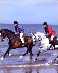 beach2.jpg