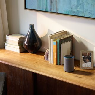 smart speaker on a sideboard beside books and a vase and a picture of a dog