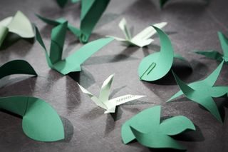 Green origami