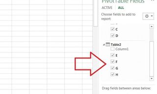 how to create pivottable 6 check boxes 675403