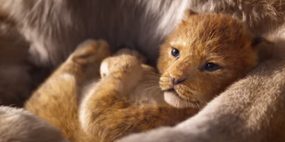 baby simba in 2019 lion king remake