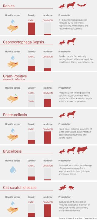 Scratches, bites and licks from your pet can transmit certain diseases.